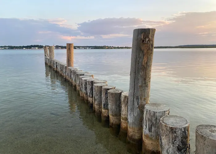 Ava Am Hainer * Neukieritzsch